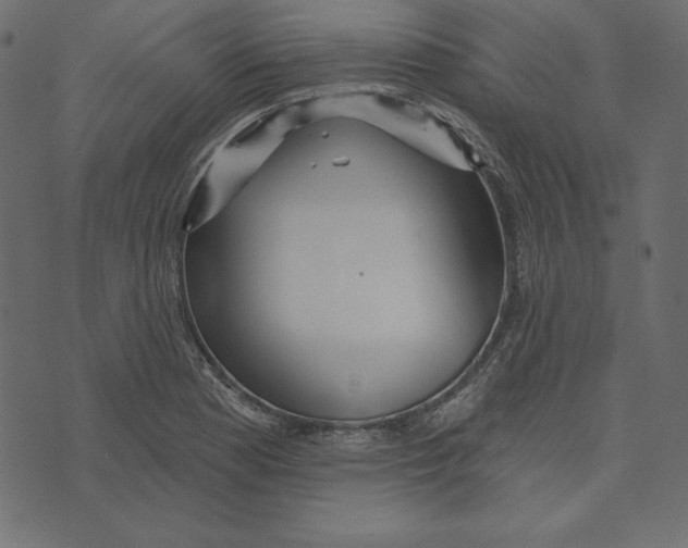 X0000072941177200608181333