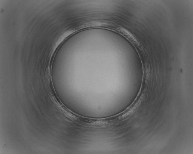 X0000072941178200608181333