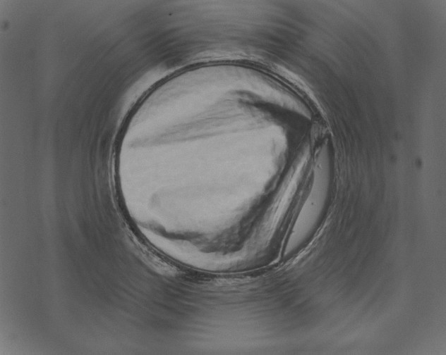 X0000072941179200608181333