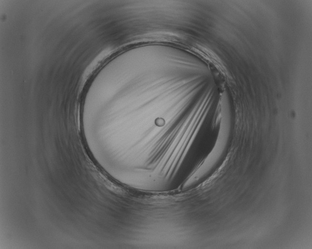 X0000072941180200608181333