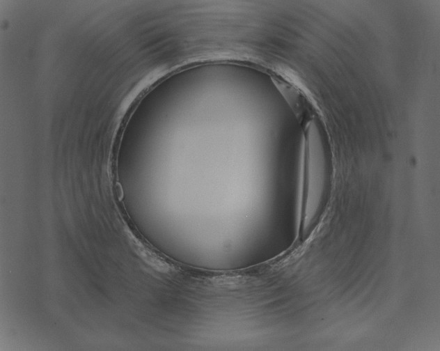 X0000072941181200608181333