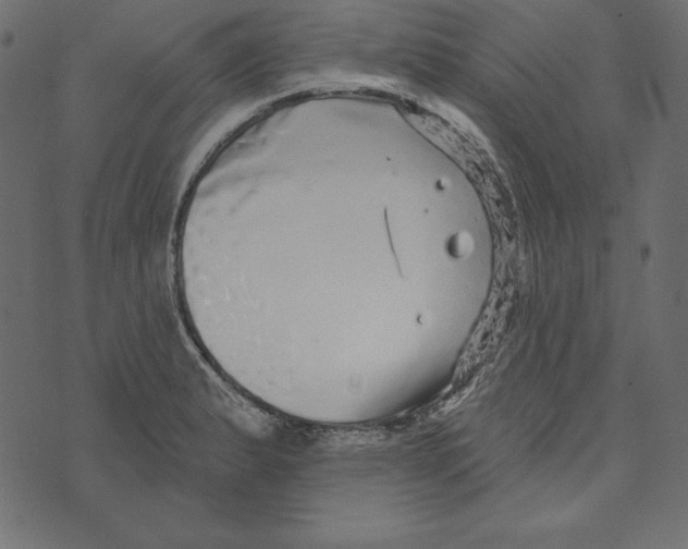 X0000072941183200608181333