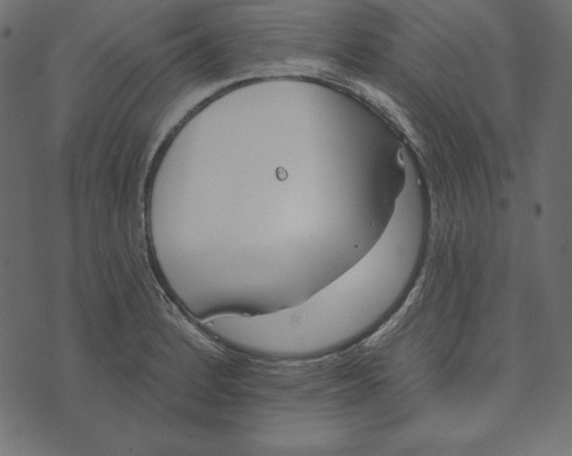 X0000072941184200608181333