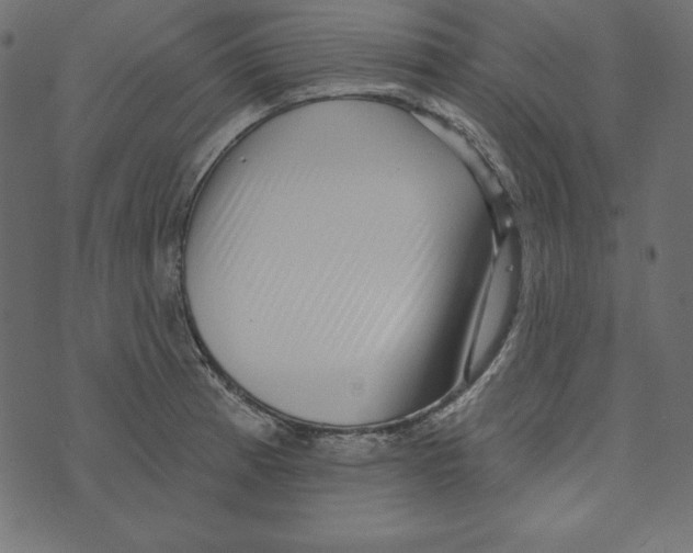 X0000072941185200608181333