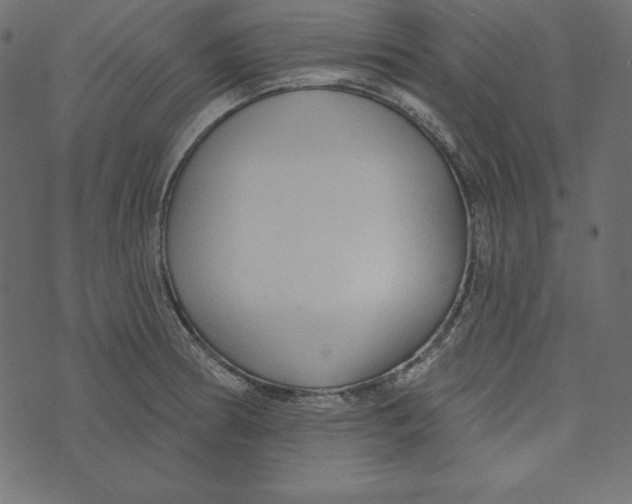 X0000072941186200608181333