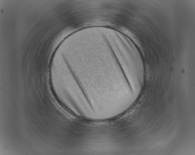 X0000072941187200608181333