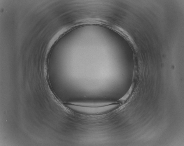 X0000072941188200608181333