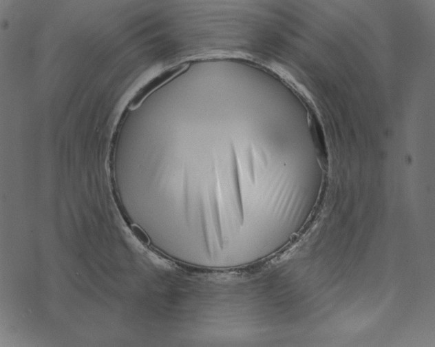 X0000072941189200608181333