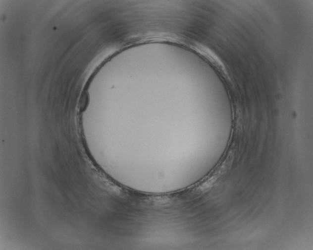 X0000072941190200608181333