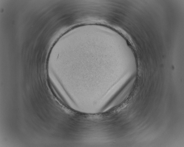 X0000072941191200608181333