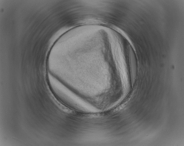 X0000072941195200608181333