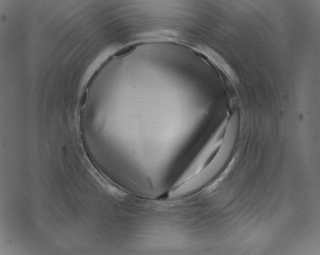 X0000072941196200608181333