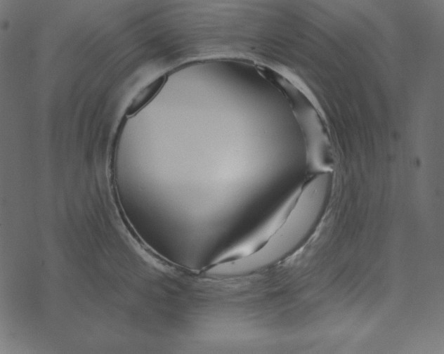 X0000072941197200608181333