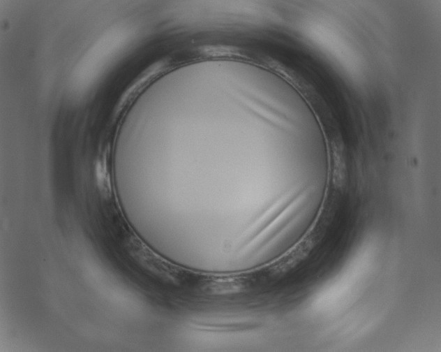 X0000072941198200608181333