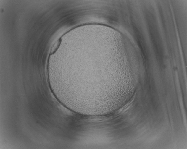 X0000072941199200608181333