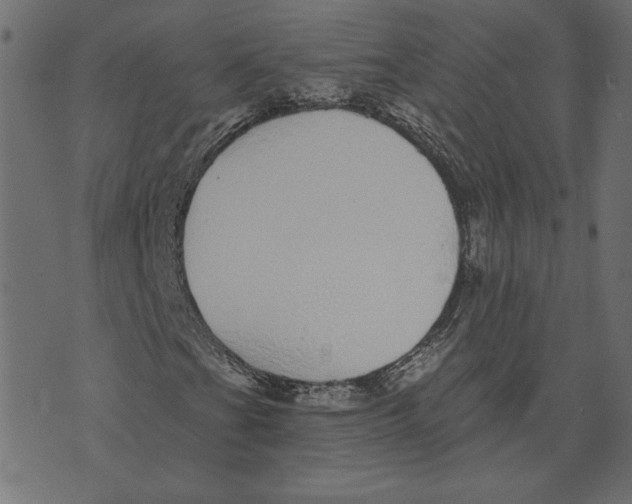 X0000072941201200608181332