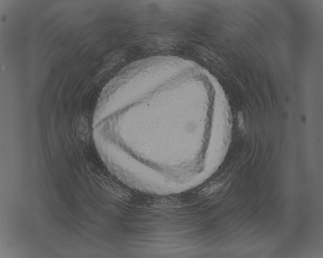 X0000072941203200608181332