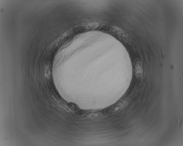 X0000072941204200608181332