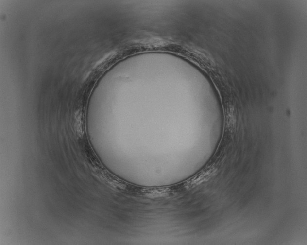 X0000072941205200608181332