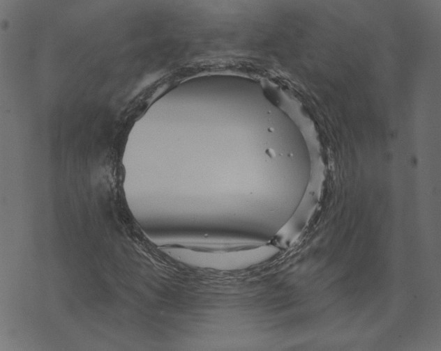 X0000072941206200608181332