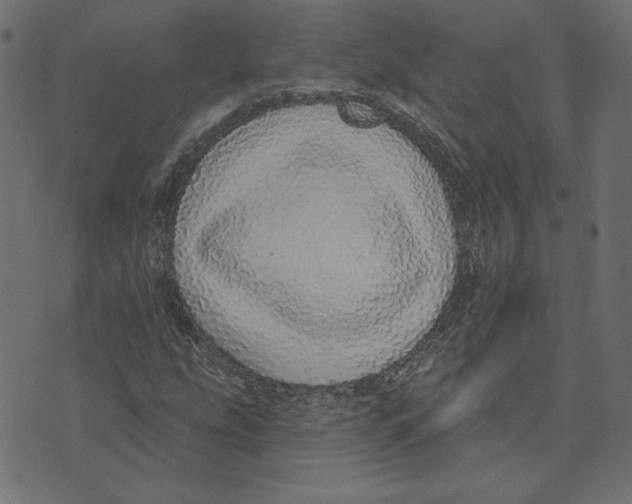 X0000072941207200608181332