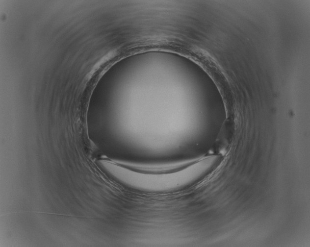 X0000072941210200608181332