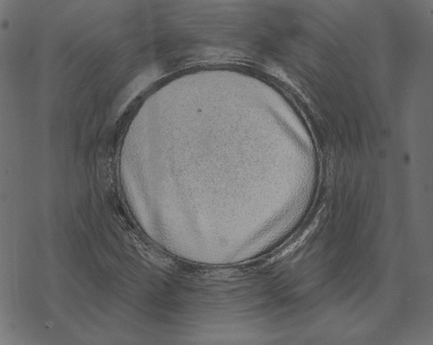 X0000072941211200608181332