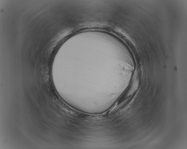 X0000072941213200608181332