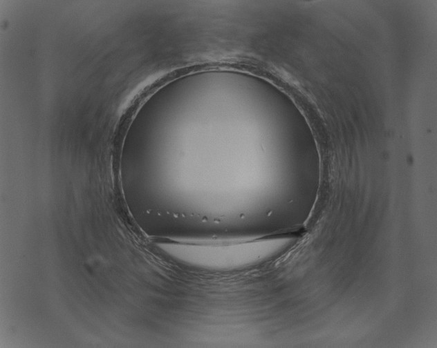 X0000072941214200608181332