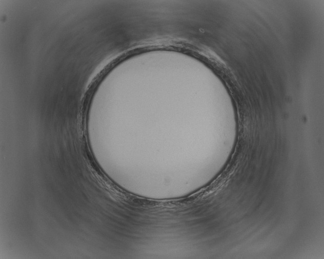 X0000072941216200608181333