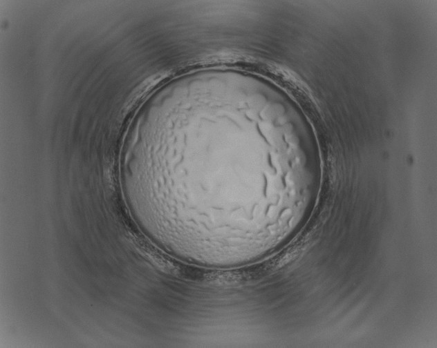 X0000072941217200608181333