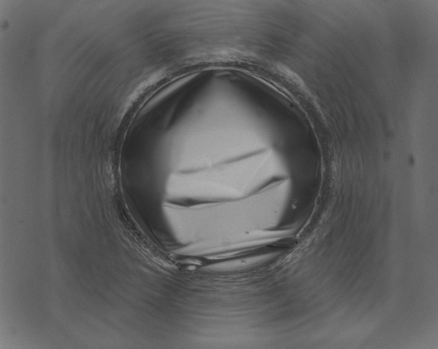 X0000072941218200608181333