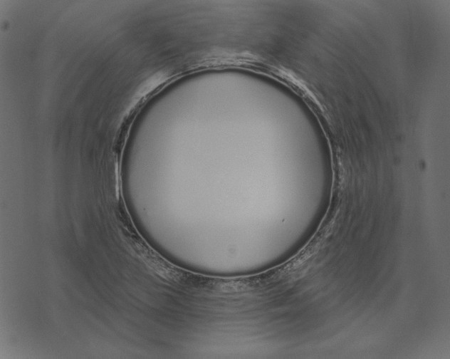 X0000072941219200608181333