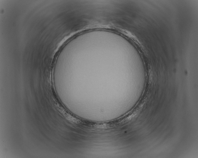 X0000072941220200608181333