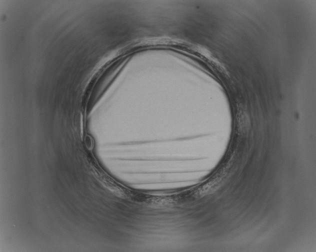 X0000072941221200608181333