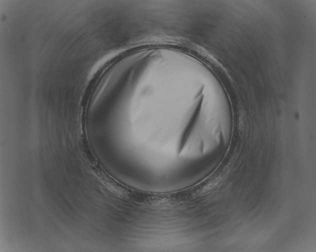 X0000072941222200608181333