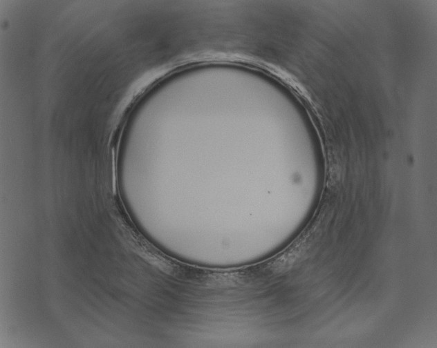 X0000072941223200608181333