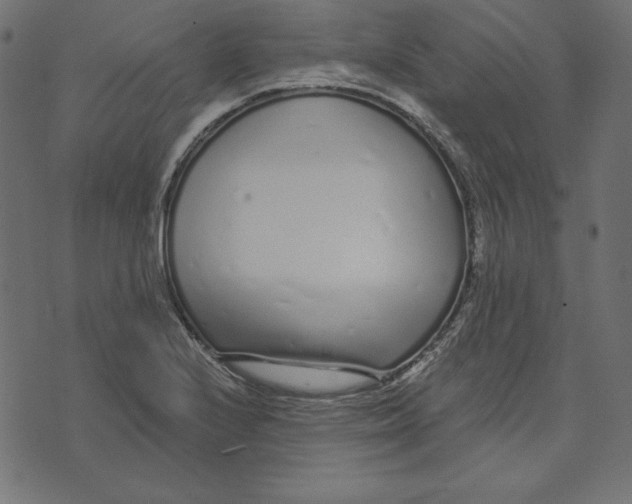 X0000072941224200608181333