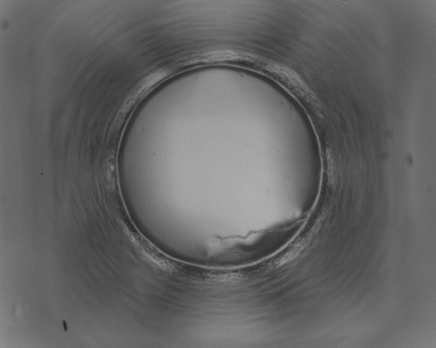 X0000072941225200608181333