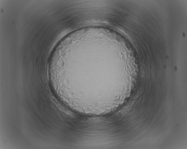 X0000072941227200608181333