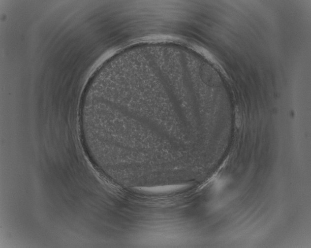 X0000072941229200608181333