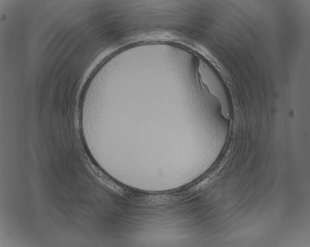 X0000072941232200608181333