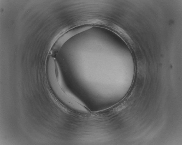 X0000072941234200608181333