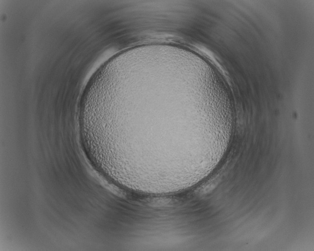 X0000072941235200608181333