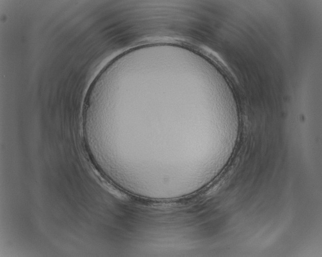 X0000072941236200608181333