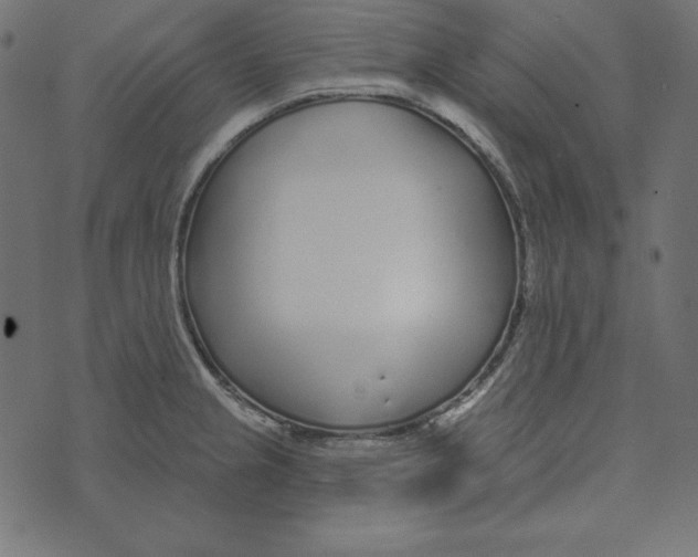 X0000072941237200608181333