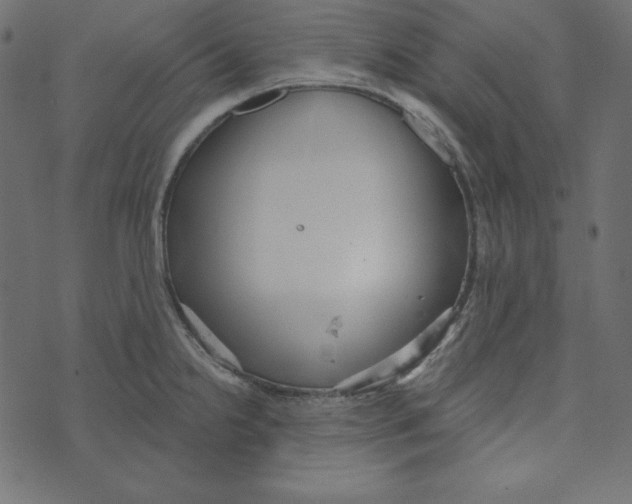 X0000072941238200608181333