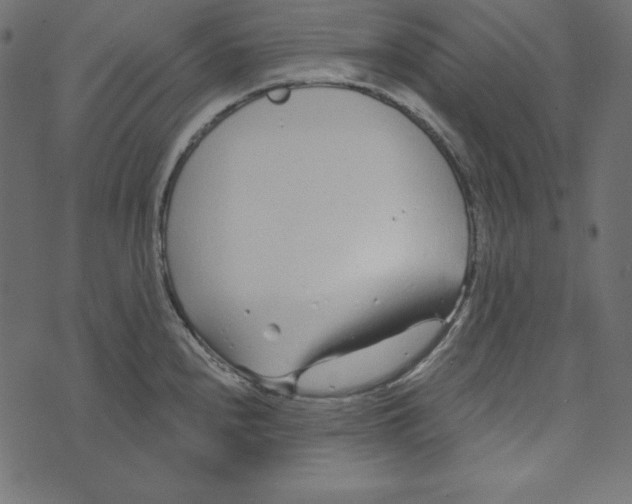 X0000072941240200608181333