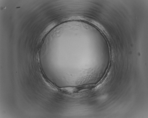 X0000072941241200608181333