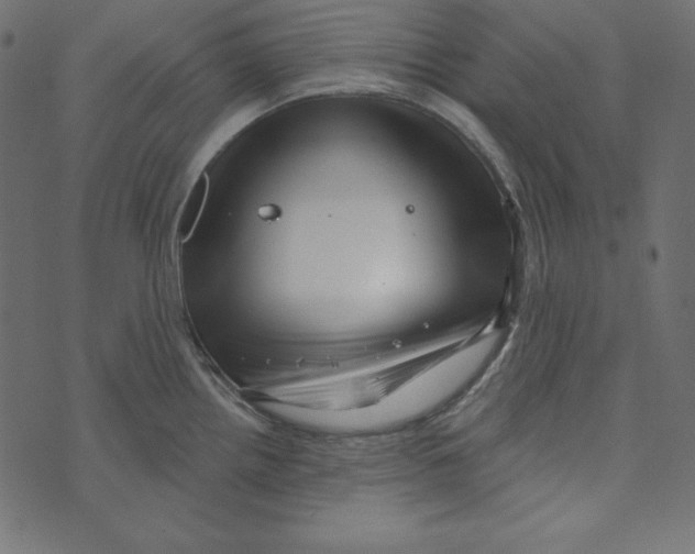 X0000072941242200608181333